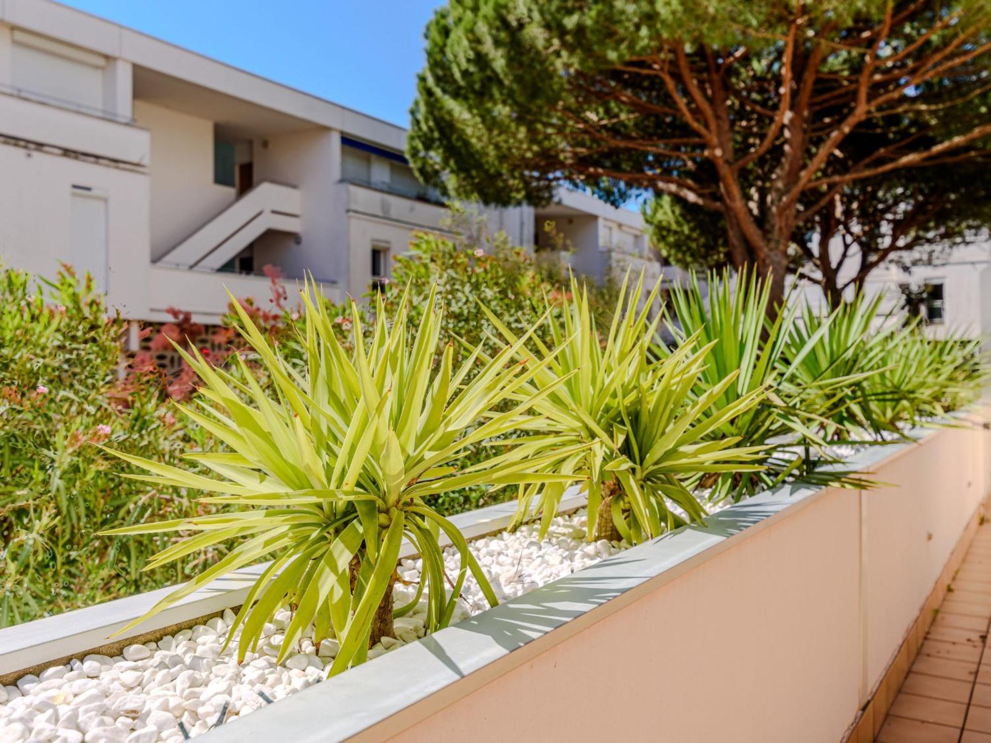 Apartment Antinea-4 By Interhome La Grande Motte Dış mekan fotoğraf