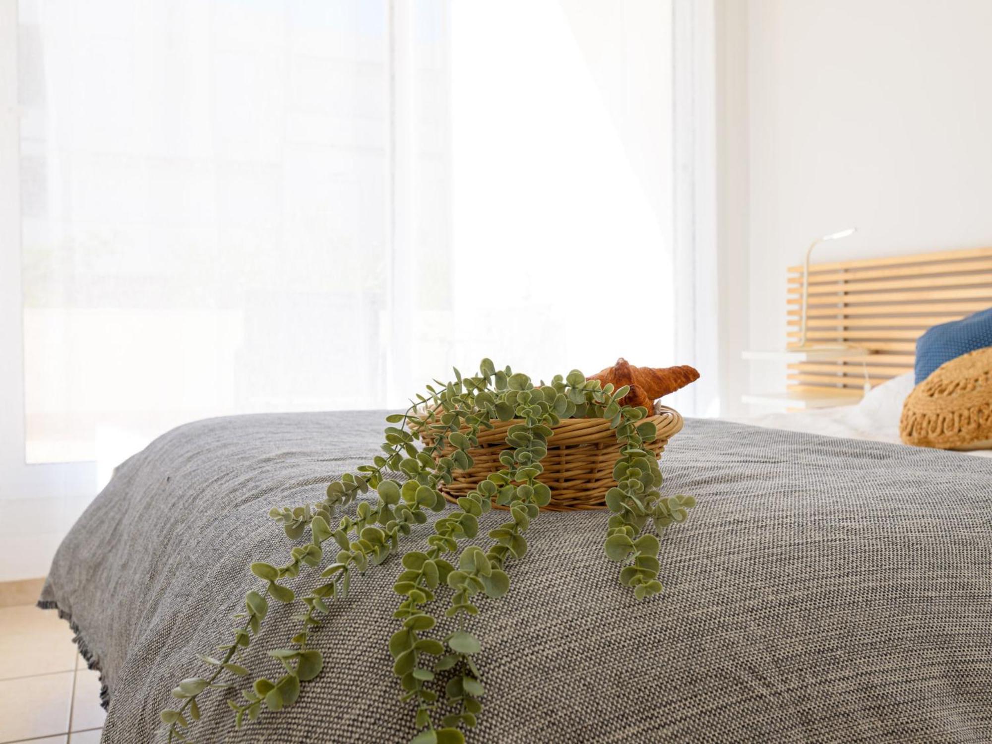 Apartment Antinea-4 By Interhome La Grande Motte Dış mekan fotoğraf