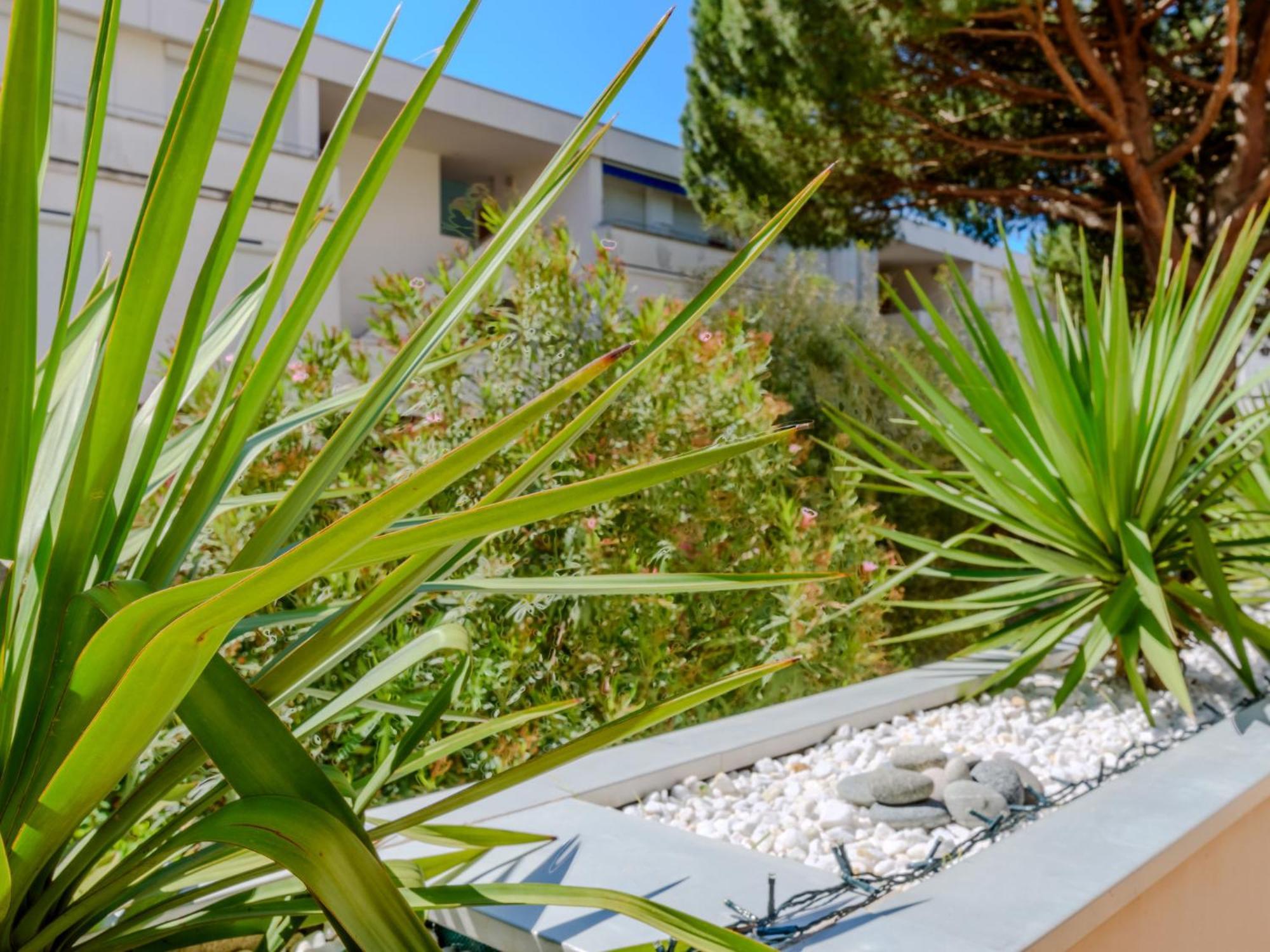 Apartment Antinea-4 By Interhome La Grande Motte Dış mekan fotoğraf
