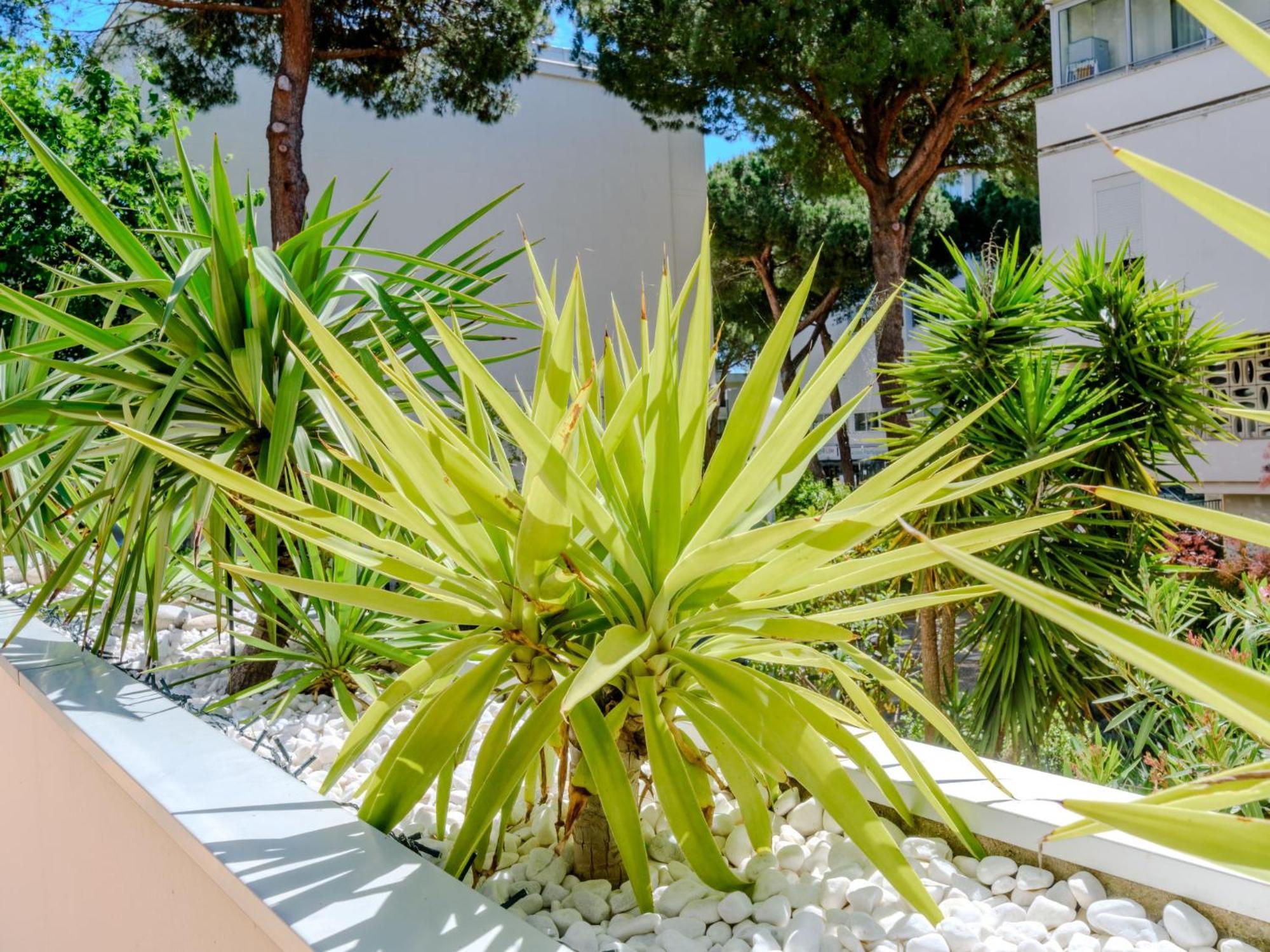 Apartment Antinea-4 By Interhome La Grande Motte Dış mekan fotoğraf